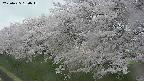 ochiai1-20250425160016.jpg