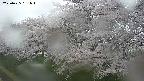 ochiai1-20250425161016.jpg