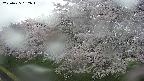 ochiai1-20250425162017.jpg