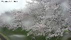 ochiai1-20250425163017.jpg