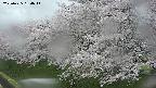 ochiai1-20250425164015.jpg
