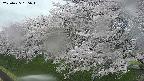 ochiai1-20250425165018.jpg