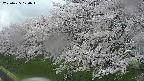 ochiai1-20250425170016.jpg