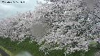 ochiai1-20250425171016.jpg