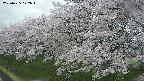 ochiai1-20250425172017.jpg