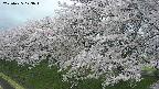 ochiai1-20250425173015.jpg