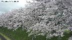 ochiai1-20250425174016.jpg