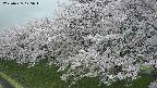 ochiai1-20250425175017.jpg