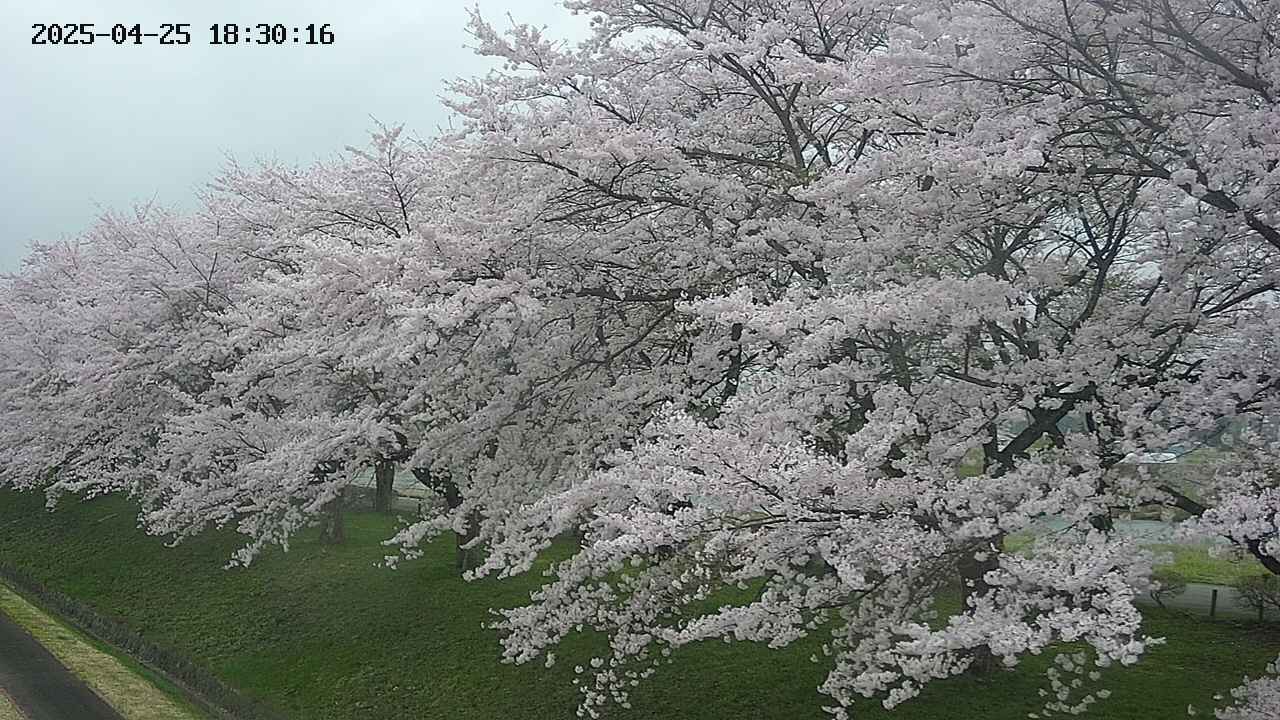 ochiai1-20250425183017.jpg
