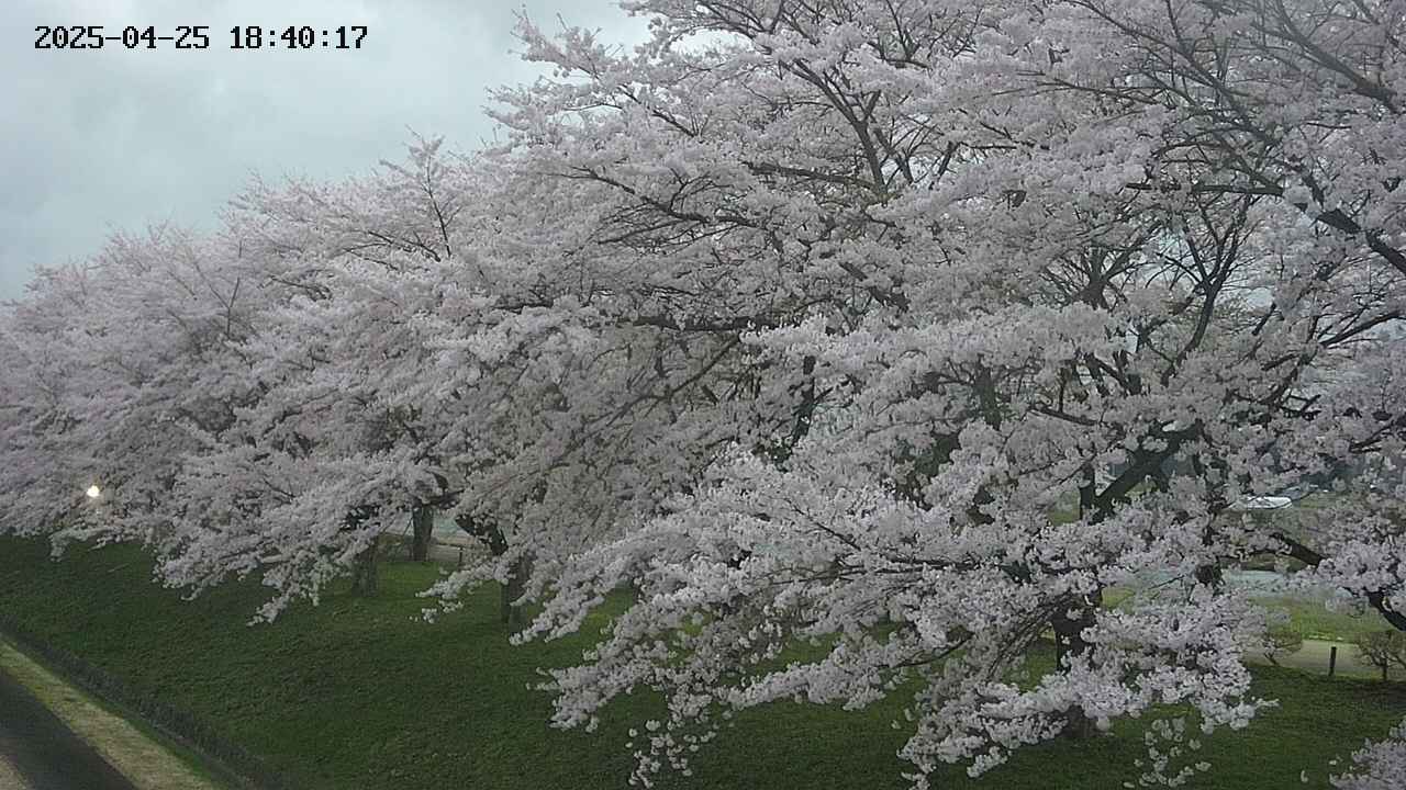 ochiai1-20250425184018.jpg