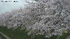 ochiai1-20250425184018.jpg