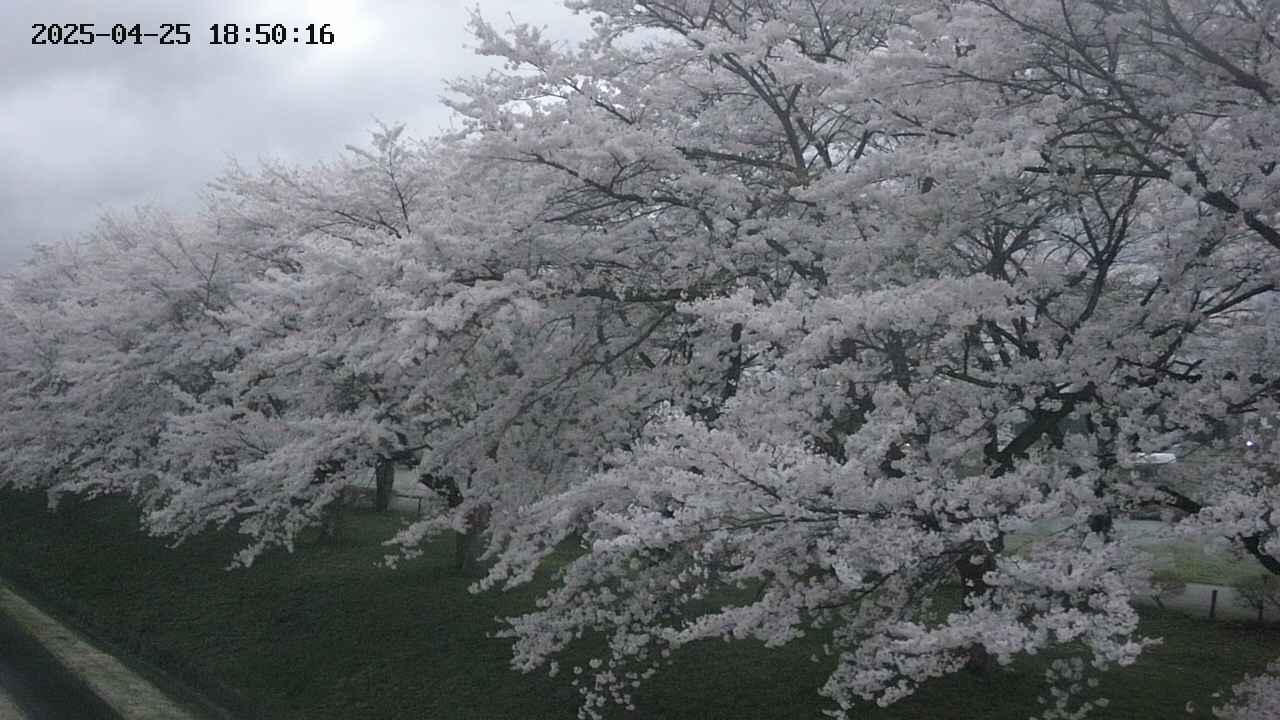 ochiai1-20250425185018.jpg