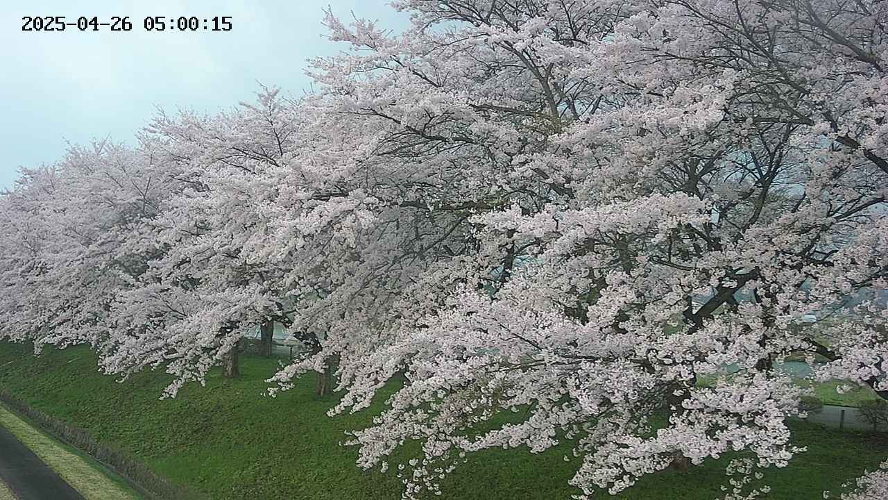 ochiai1-20250426050038.jpg