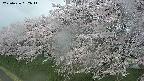 ochiai1-20250426052034.jpg