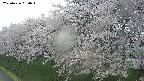 ochiai1-20250426060035.jpg