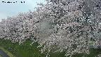 ochiai1-20250426061041.jpg