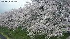 ochiai1-20250426071041.jpg