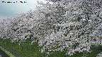 ochiai1-20250426082040.jpg