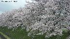 ochiai1-20250426085036.jpg