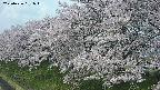 ochiai1-20250426091040.jpg