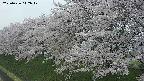 ochiai1-20250426112036.jpg