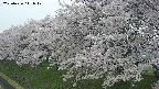 ochiai1-20250426141038.jpg
