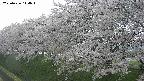ochiai1-20250426144037.jpg