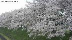 ochiai1-20250426145038.jpg