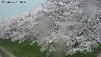 ochiai1-20250426155033.jpg