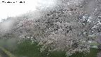 ochiai1-20250426160031.jpg