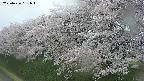 ochiai1-20250426161034.jpg
