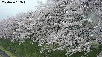 ochiai1-20250426162036.jpg