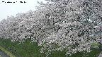 ochiai1-20250426163038.jpg