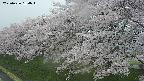 ochiai1-20250426164036.jpg