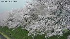 ochiai1-20250426165035.jpg