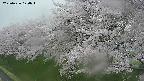 ochiai1-20250426170033.jpg
