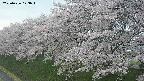 ochiai1-20250426173034.jpg