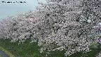 ochiai1-20250426175039.jpg