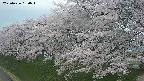 ochiai1-20250426180040.jpg