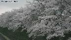 ochiai1-20250426183035.jpg
