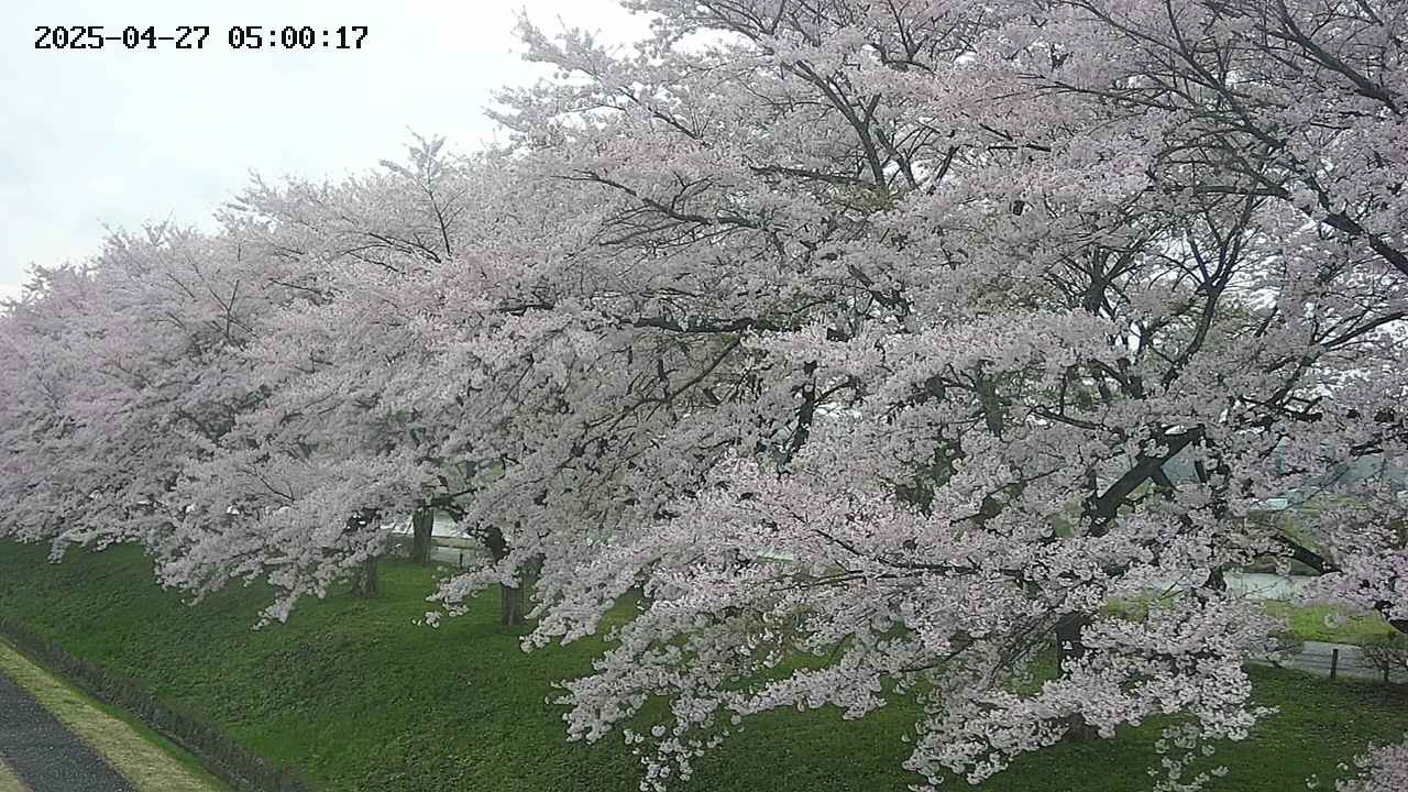 ochiai1-20250427050040.jpg