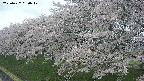 ochiai1-20250427060038.jpg