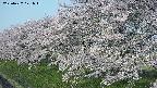 ochiai1-20250427071039.jpg