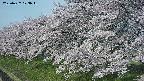ochiai1-20250427073039.jpg