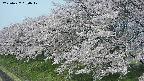 ochiai1-20250427090037.jpg