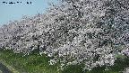 ochiai1-20250427091036.jpg