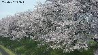 ochiai1-20250427113040.jpg