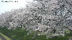 ochiai1-20250427121040.jpg