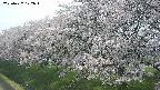 ochiai1-20250427122044.jpg