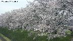 ochiai1-20250427124040.jpg